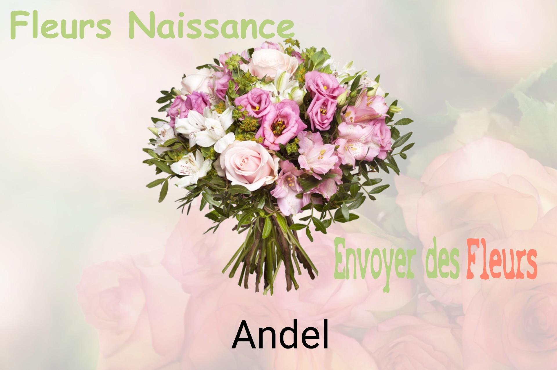 Bouquet de fleurs de naissance livré à Andel